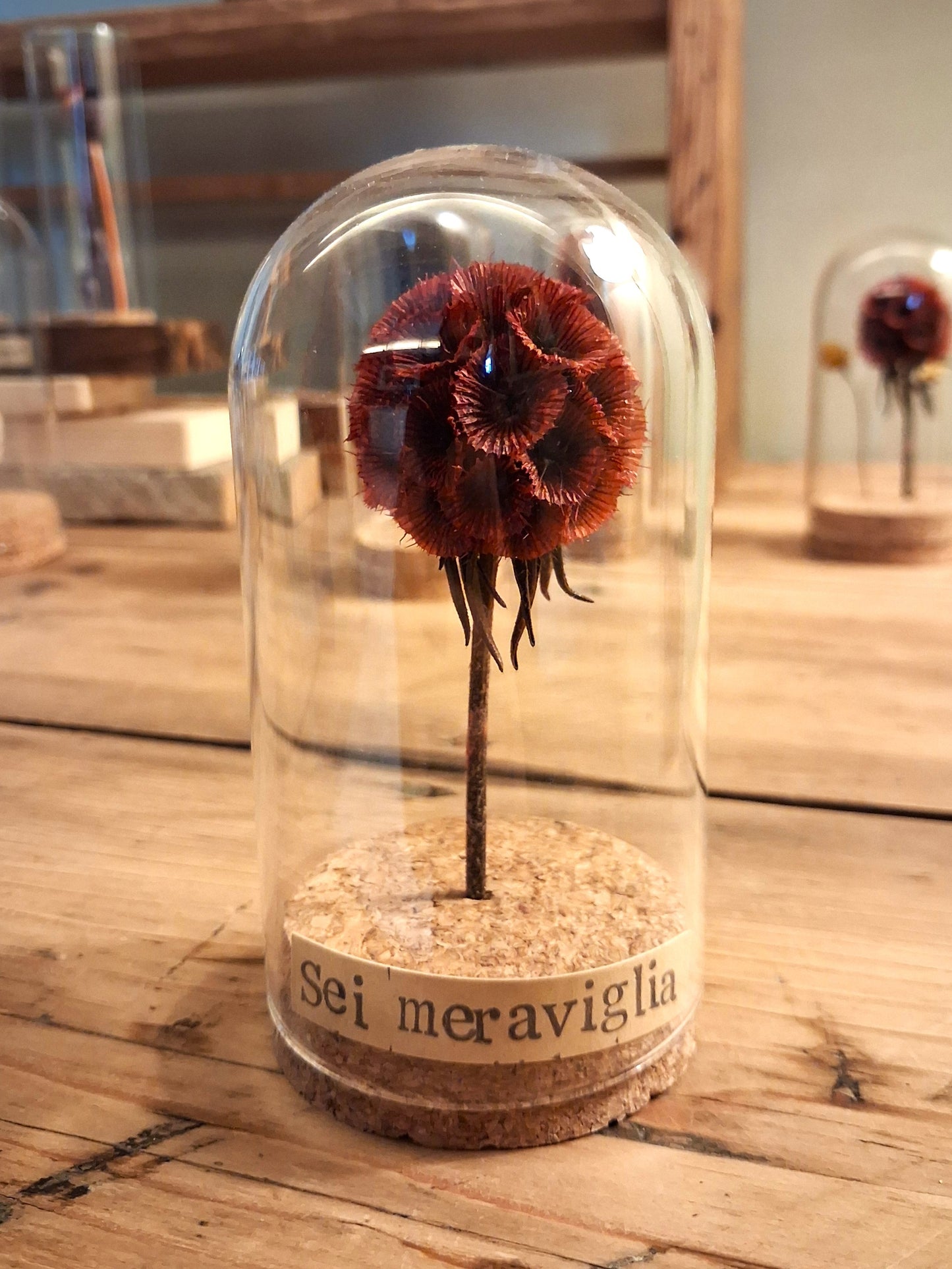 Messaggio Sottovetro "Sei mertaviglia"
