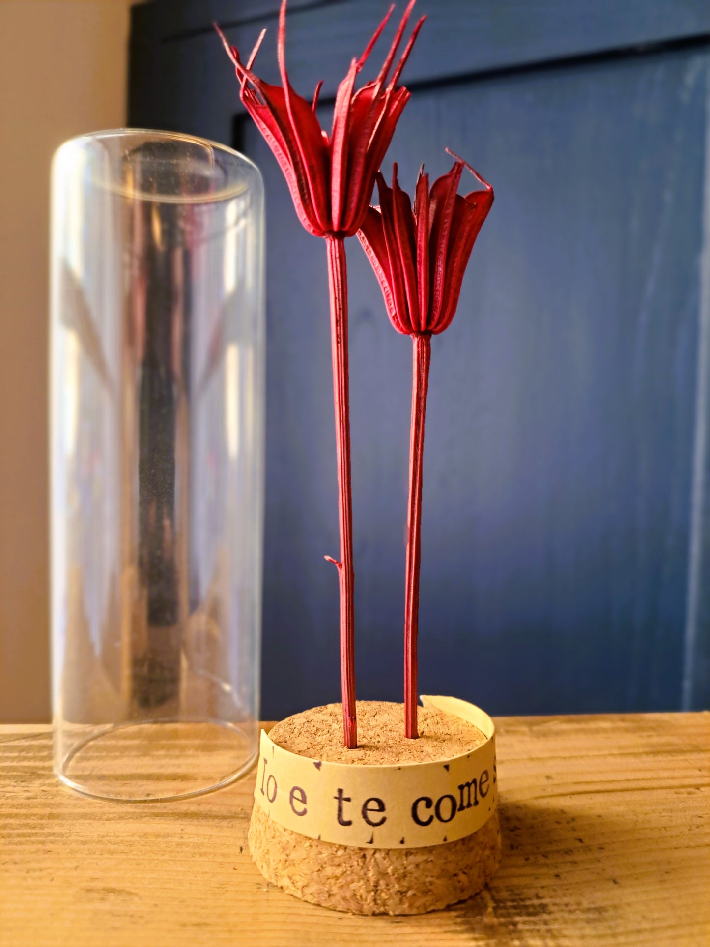 Messaggio Sottovetro "Io e te come sorelle"