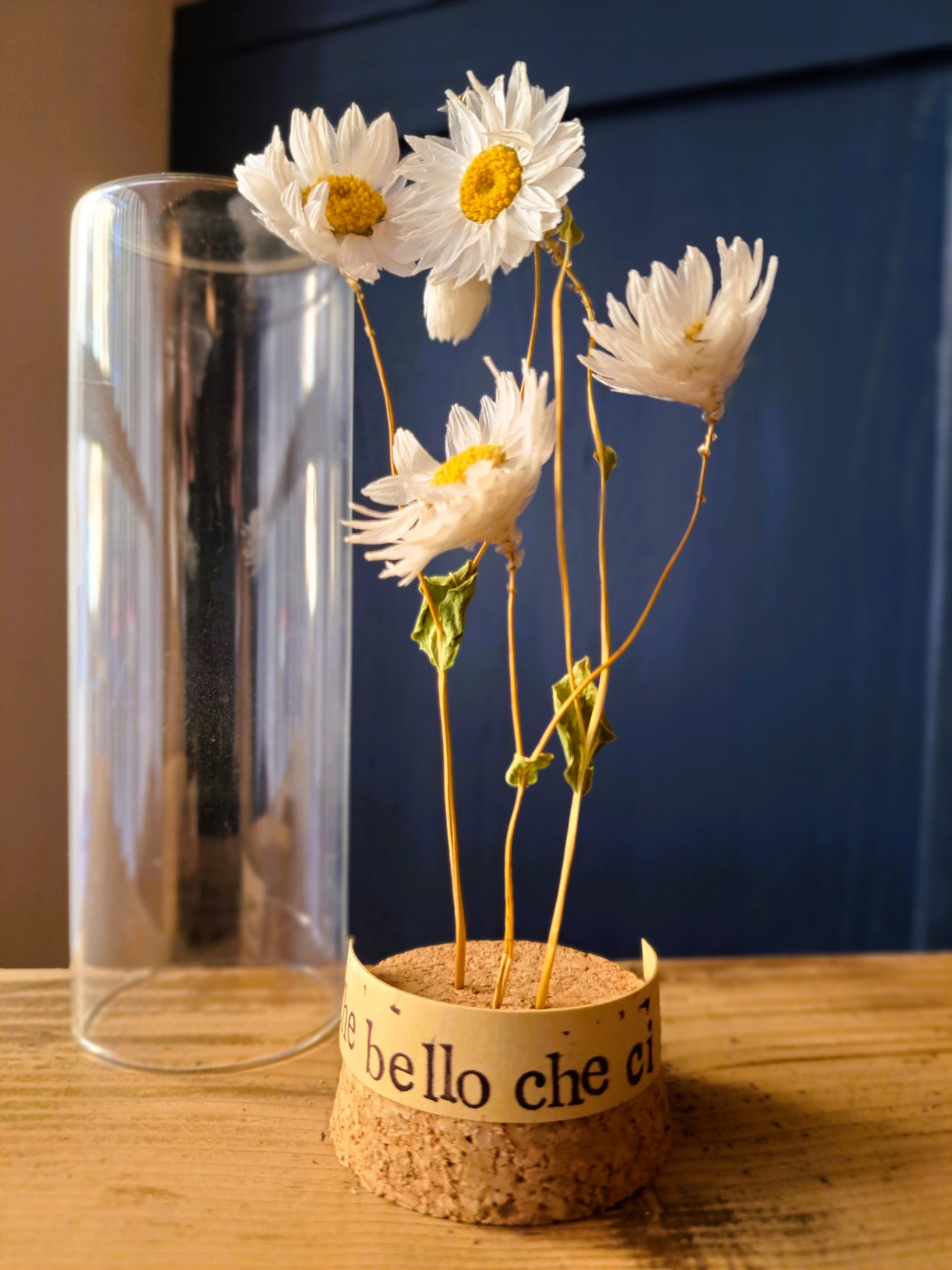 Messaggio Sottovetro "Che bello che ci sei"