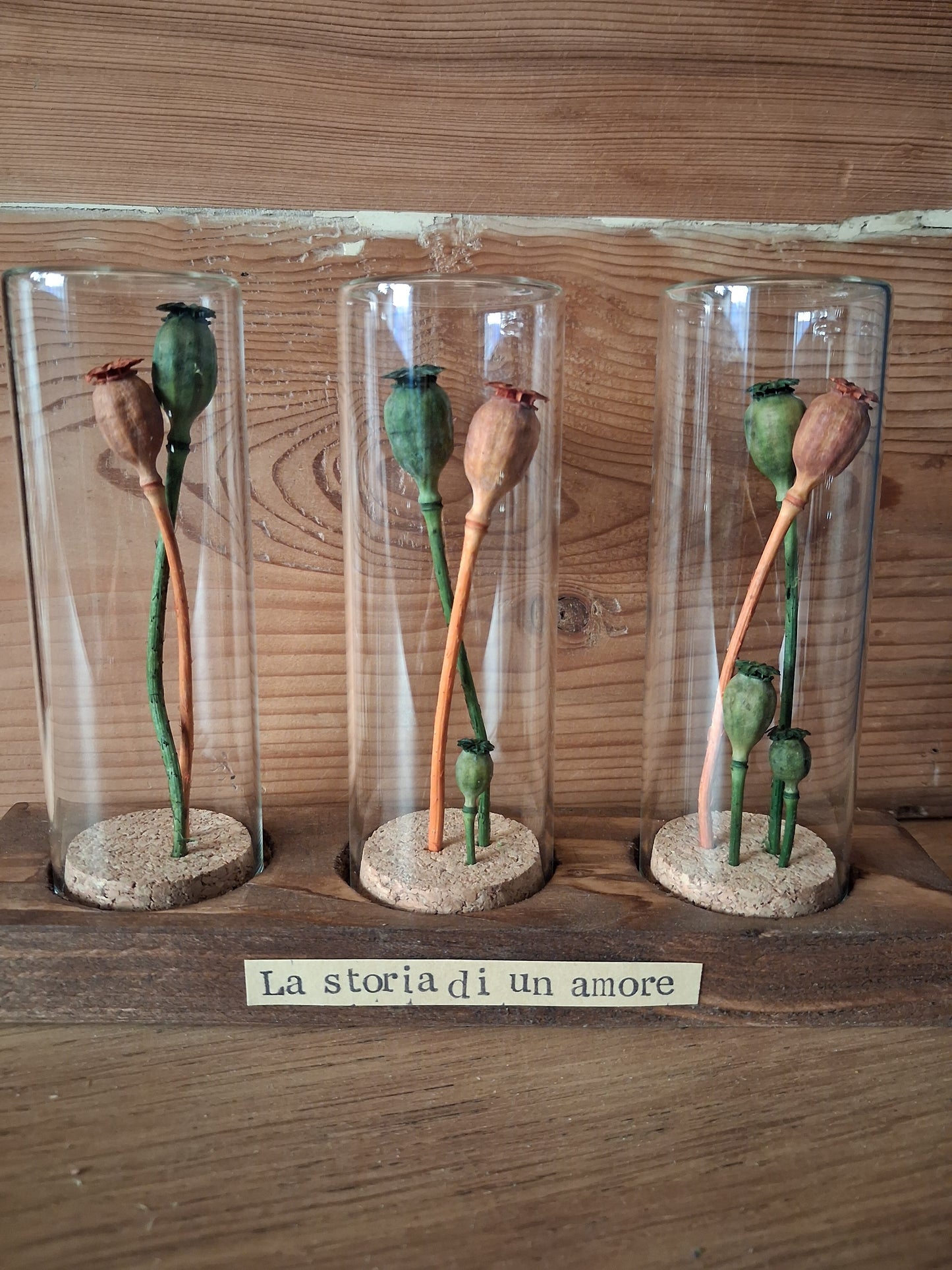 Messaggio Sottovetro "Storia di un amore" (Tripla)