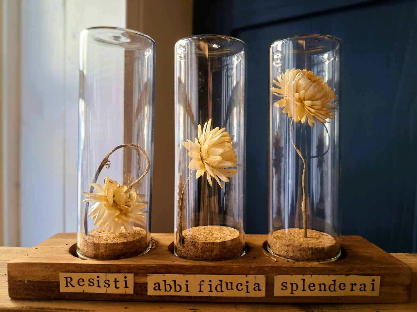 Messaggio Sottovetro "Resisti, abbi fiducia, splenderai" (Tripla)