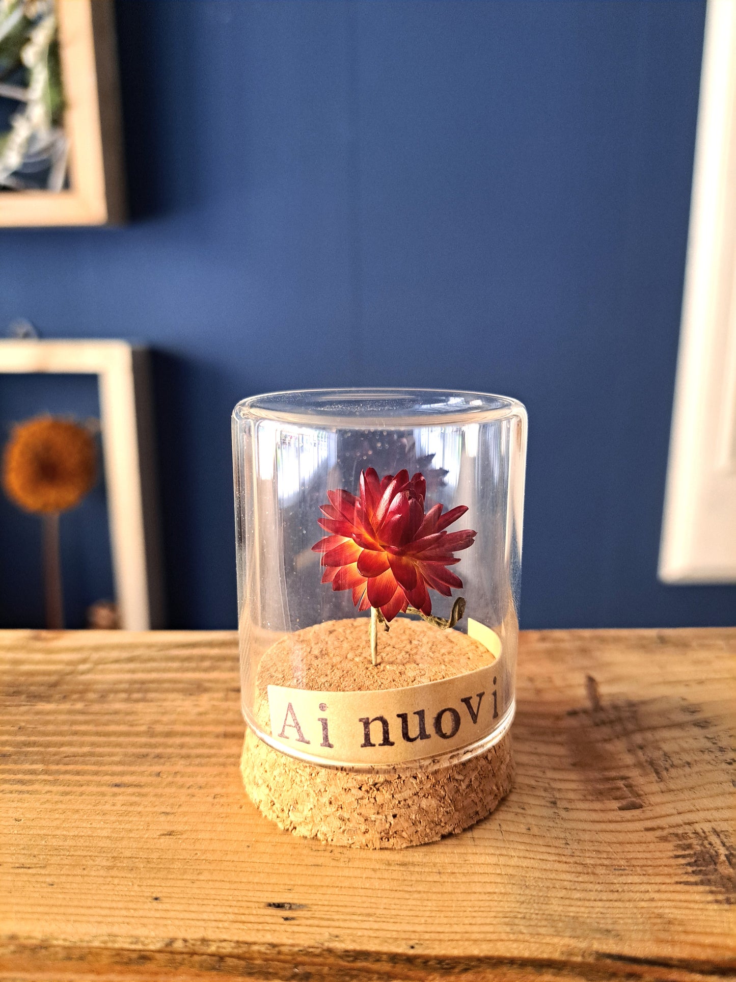 Messaggio Sottovetro "Ai nuovi inizi"