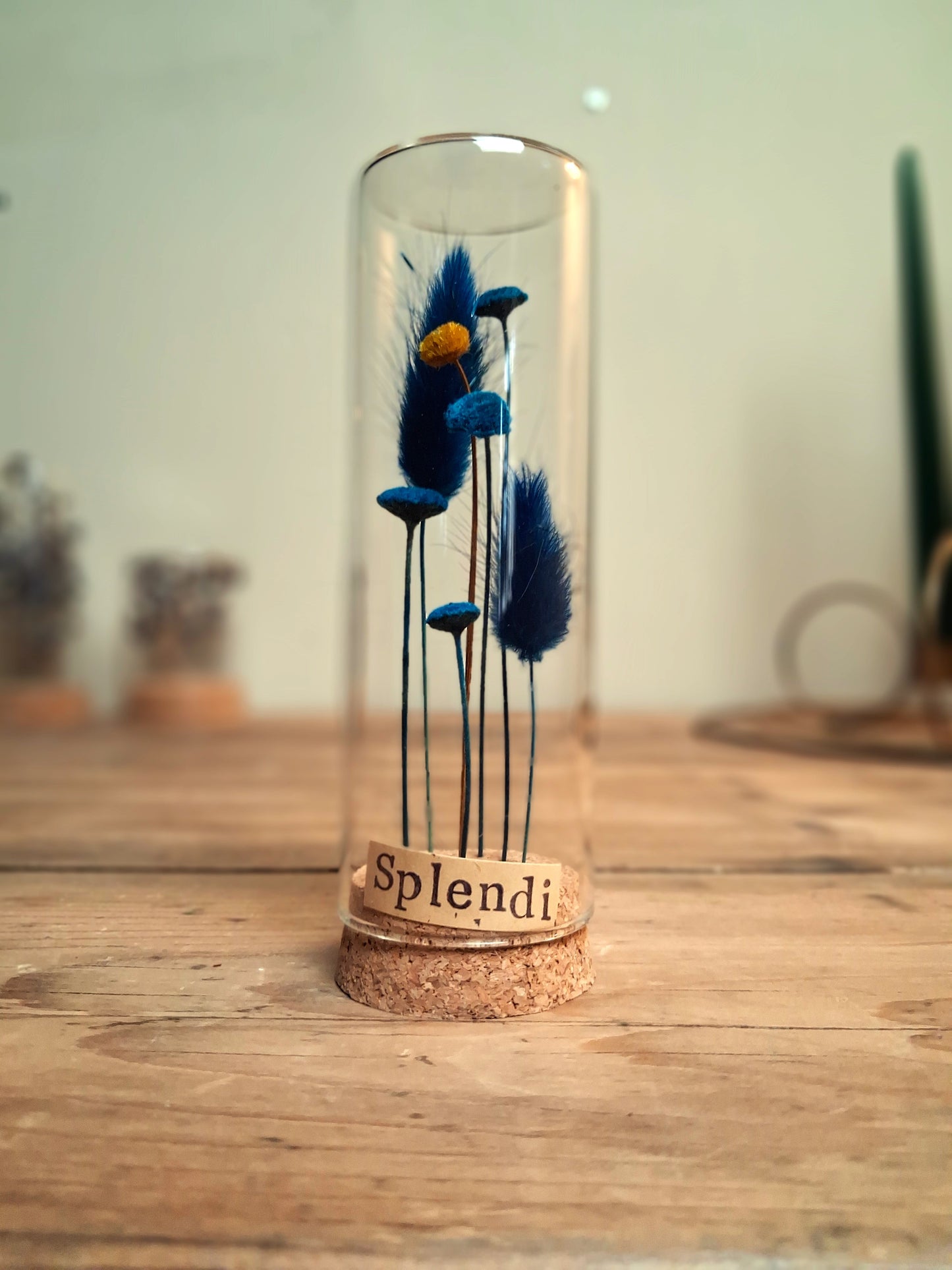 Messaggio Sottovetro "Splendi"