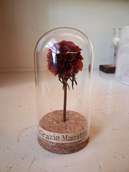 Messaggio Sottovetro "Grazie Maestra"