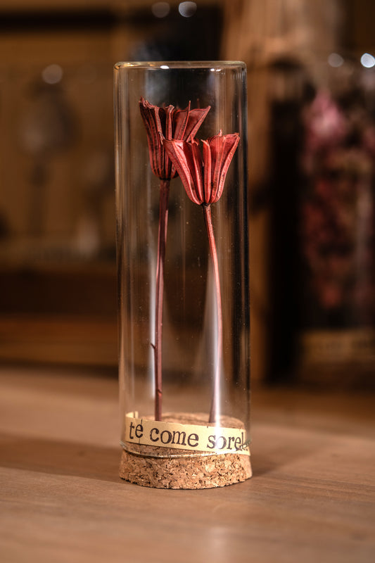 Messaggio Sottovetro "Io e te come sorelle"