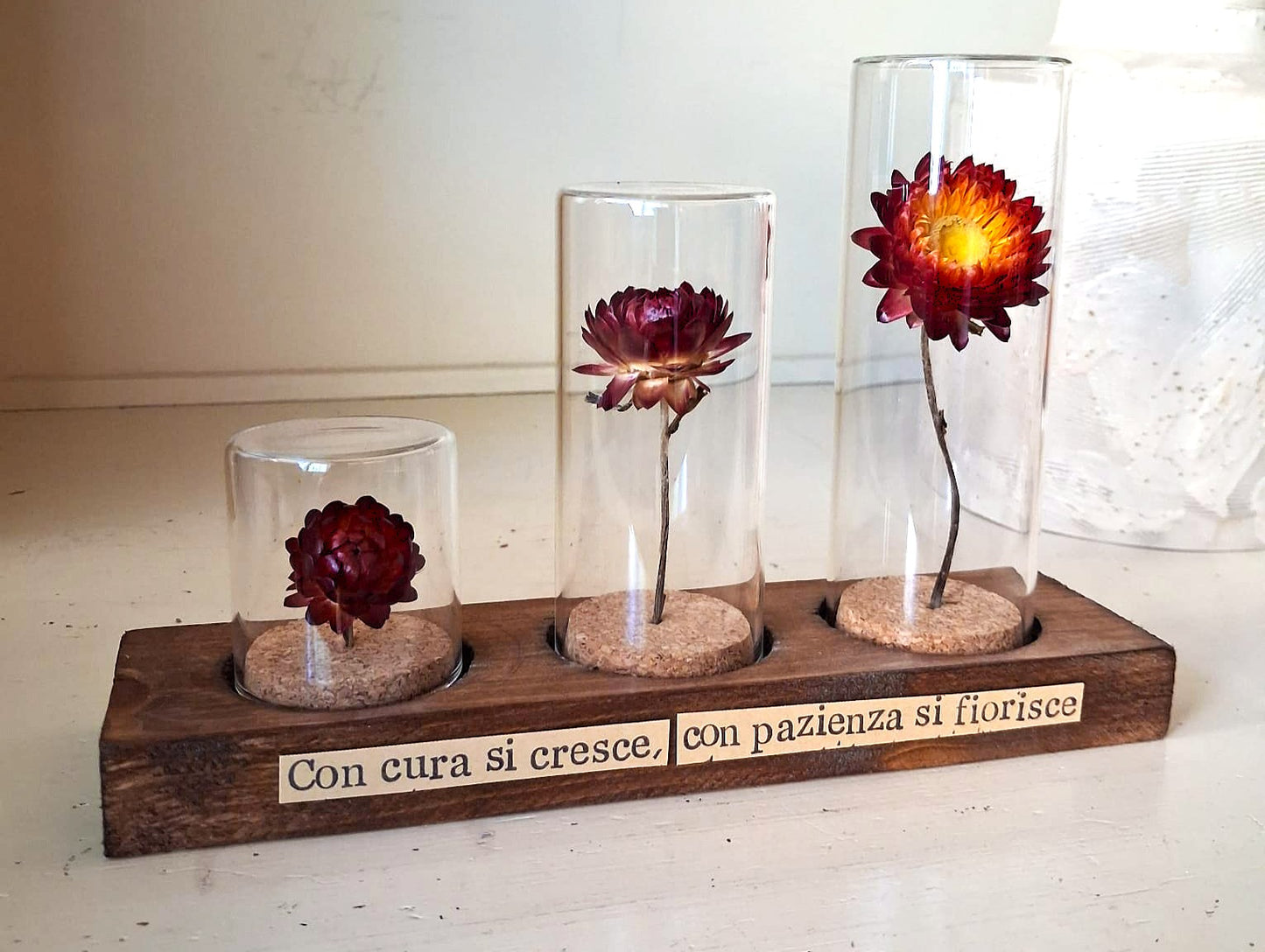 Messaggio Sottovetro "Con cura si cresce, con pazienza si fiorisce" SCONTO FINE SCUOLA!