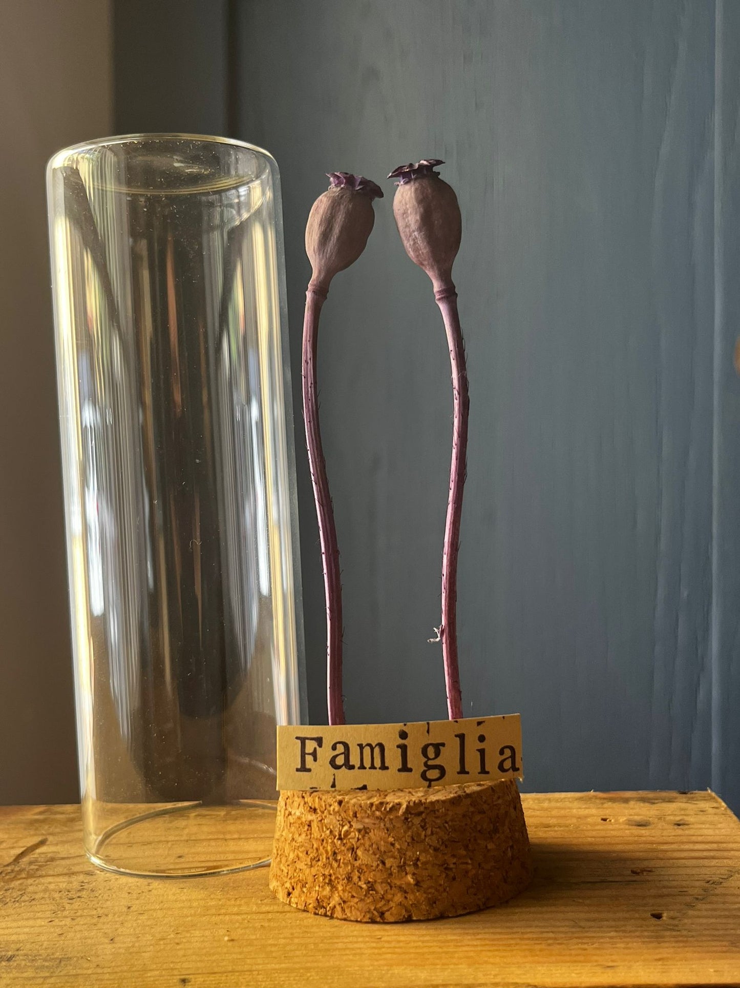 Messaggio Sottovetro "Famiglia"