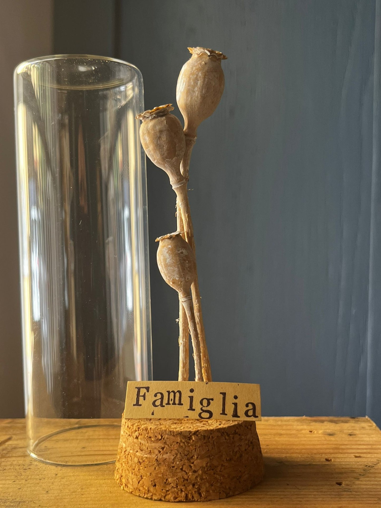 Messaggio Sottovetro "Famiglia"
